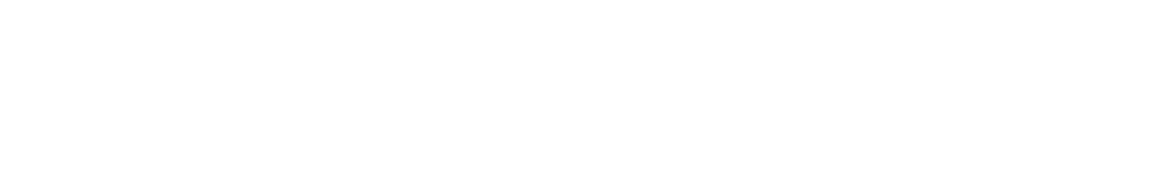 Pardesi